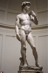 La statue de DAVID  par Michel-Ange