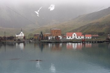 Grytviken whaling station South Georgia