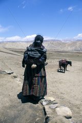 Frauen  die ihr Kind an ihrem RÃ¼cken Mustang Nepal halten