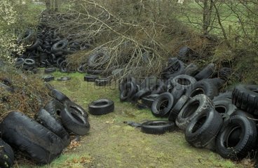 Wildflow von Frankreichs Reifen