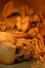 Antalya -Skelettstück aus dem Türkiye Museum