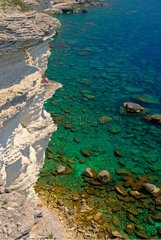 Cliffs of Bonifacio Corsican France