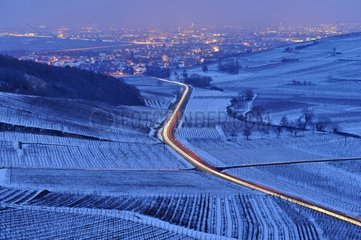 Vineyard the night under the snow off and Colmar