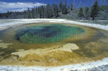 Upper Geyser Basin PN Yellowstone Wyoming USA