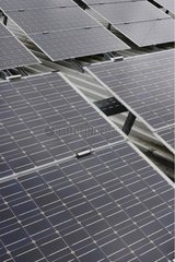 Photovoltaikpaneele auf dem Dach eines Fußballstadions