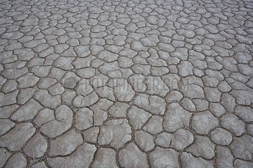 Dead vlei Sossusvlei Namib Desert Namibia