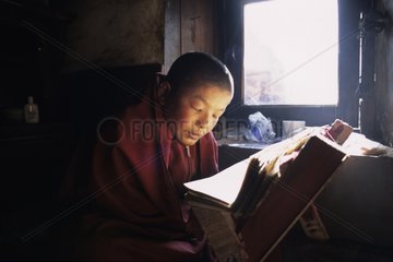 Young novice studing the Buddhist texts Zhongdiang