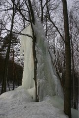 Ice cascade from a source in a forest Carpathian mountains
