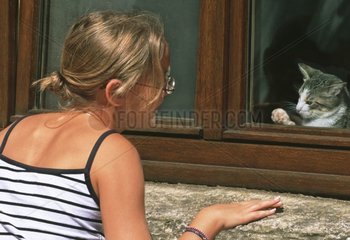 Kleines Mädchen  das mit ihrem Kätzchen durch ein Fenster spielt