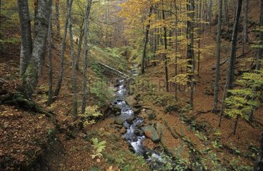 Central Balkan National Park in autumn Southern Bulgaria