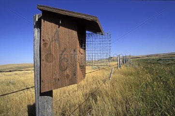 Breeding cage predators protected by a fence Saskatchewan