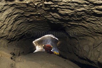 Caver in the underground river of Castade
