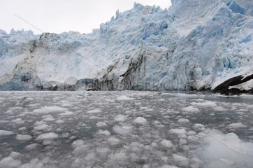Floating Ice Glacier Garibaldi Tierra del Fuego Chile