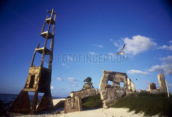 Atol das Rocas  State: Bahia  Brazil. Ruins in the beach. Albatroz / bird.