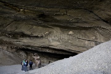 Statue of Mylodon listai in a cave Chilean Patagonia