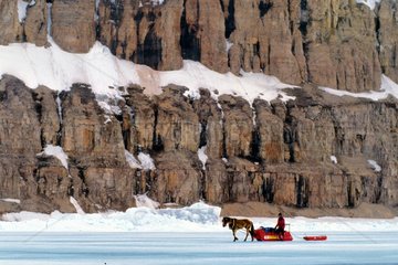 Polar -Pferdexpedition unter den Klippen