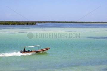 Boot  das auf der Lacuna von Rio Lagartos Mexiko segelt