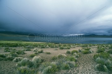 Landschaft des Gebiets Atacama in Chile