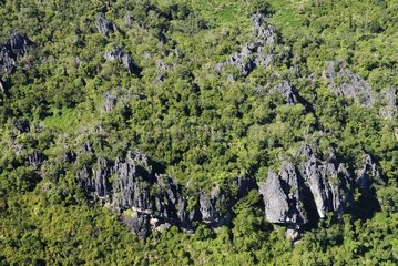 Karst rocks of the Vallée des Roches New Caledonia
