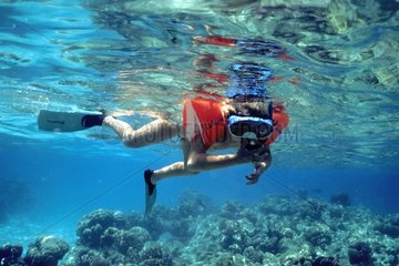 4 years old boy snorkeling on a coral reef Red Sea