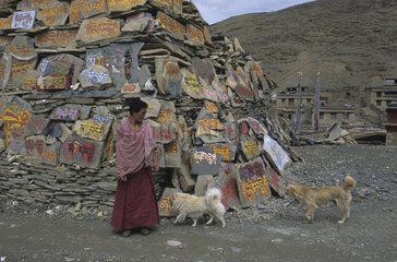 Hunde  die neben einem tibetischen Bonze -Sichuan -China laufen