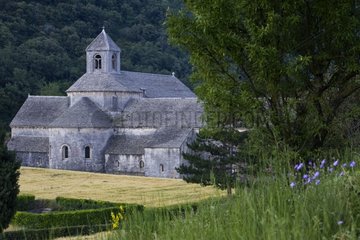 Zisterzienser Abtei von Senanque Provence Frankreich