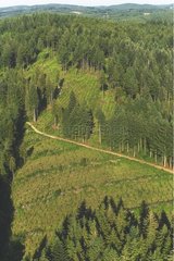 Baumplantage auf Plateau de Milvaches NRP Corrèze