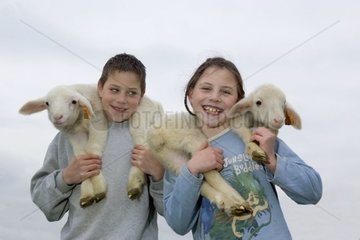 Girl and boy carrying of the lambs