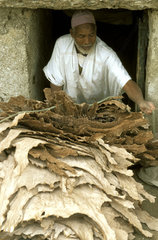 Marrakech  leather factory