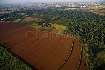 Ribeirao Preto city  Sao Paulo State  Brazil. Agribusiness.