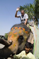 Retired tourist man age 60s riding a colorful elephant in Agra India