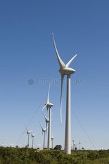 Windmühlenfarm von Villesèque des Corbières Aude Frankreich