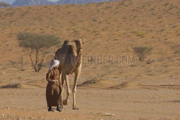 Junge Beduine und seine Wüste -Dromedarin von Al Qabil
