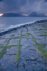 Coast slab cracked and colonized by plants Scotland