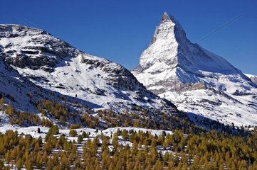 Cervin im Herbst war es wert  die Side Suisse Zermatt in Betracht zu ziehen