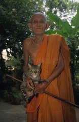 Chat de gouttière dans les bras d'un moine agé Cambodge