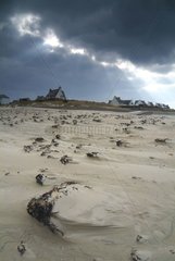 Beach of Trégastel under a thunderstorm sky Brittany France