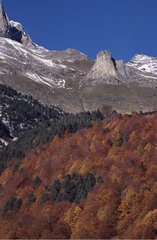 Couleur d'automne dans la vallée de Pineta Aragon Espagne