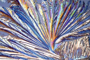 Crystalized citric acid Zoom x100