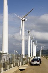Straße  die von Windmühlen Mexiko begrenzt ist