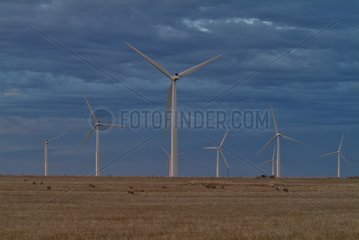 Wind mill farm and thatch South Australia