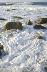 Ecume de vagues dans les rochers Bretagne France