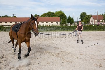 Working with a horse runs in France