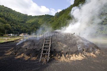 Manufacture of the charcoal in Carpates Romania
