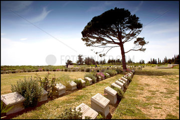 slagvelden van gallipoli begraafplaats lone pine