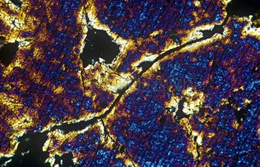 Dünne Basaltblatt in der Mikroskopie mit polarisiertem Licht