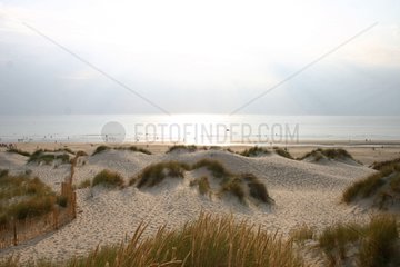Dune de Fort Mahon plage France