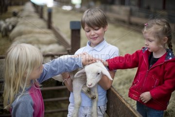 Children discover farm animals