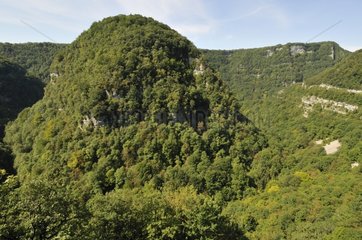 Die Loue Gorges über Ornans bezweifeln Frankreich