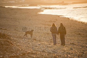 Couple walking with their dog Sillon de Talbert France